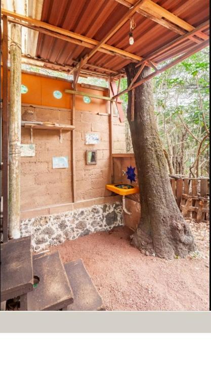 Апартаменты Casa Ecologica Тепостлан Экстерьер фото