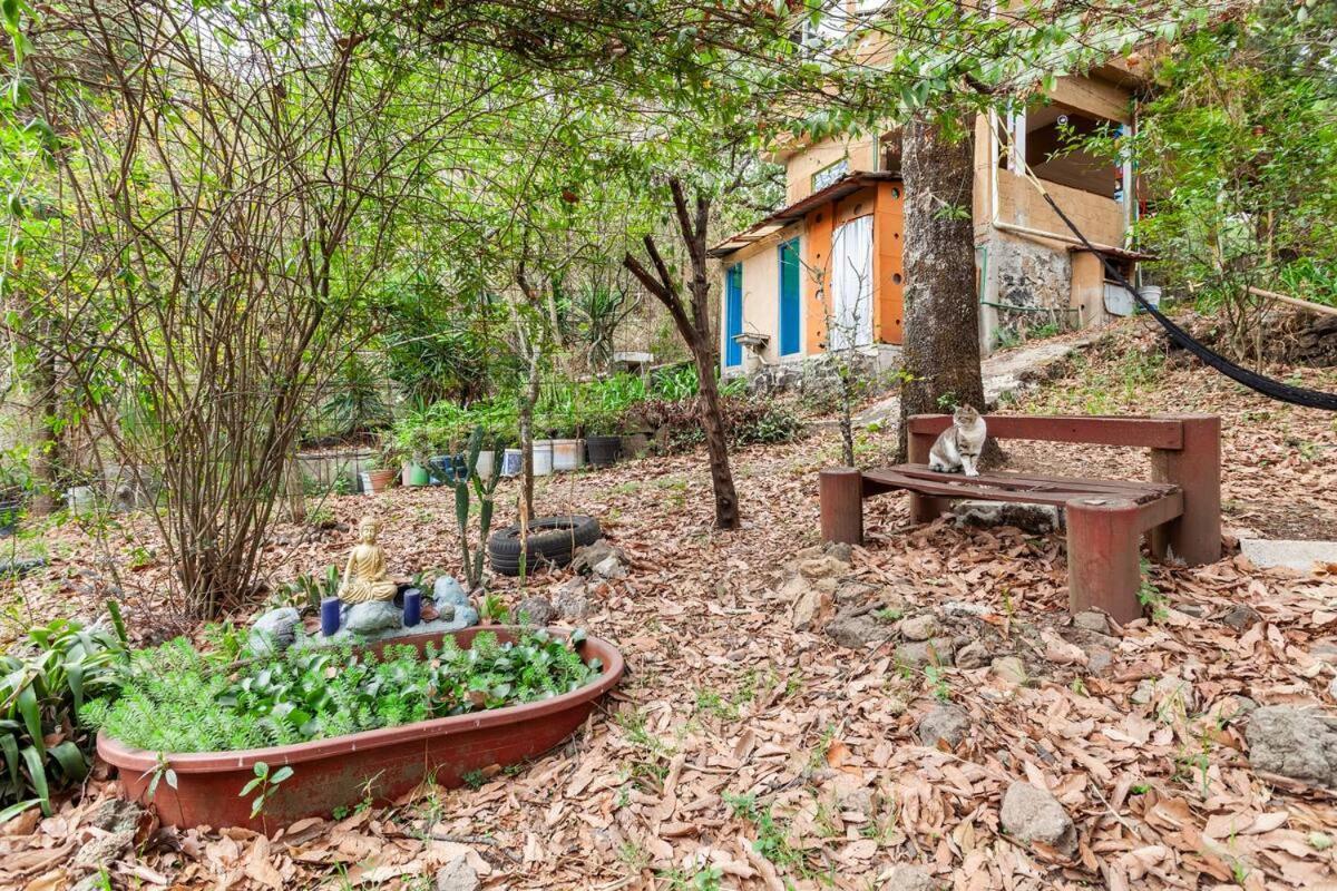 Апартаменты Casa Ecologica Тепостлан Экстерьер фото