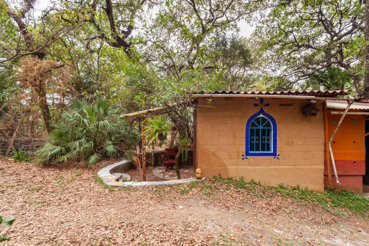 Апартаменты Casa Ecologica Тепостлан Экстерьер фото